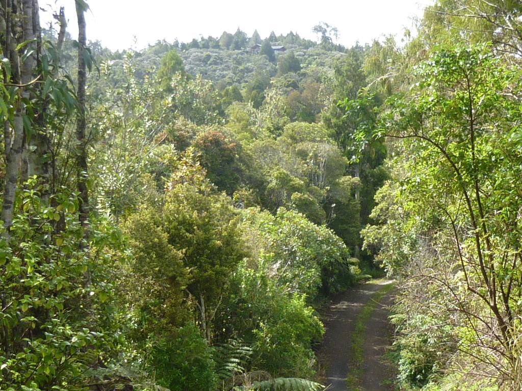 Fern Ridge Hideaway Villa Victoria Valley Buitenkant foto